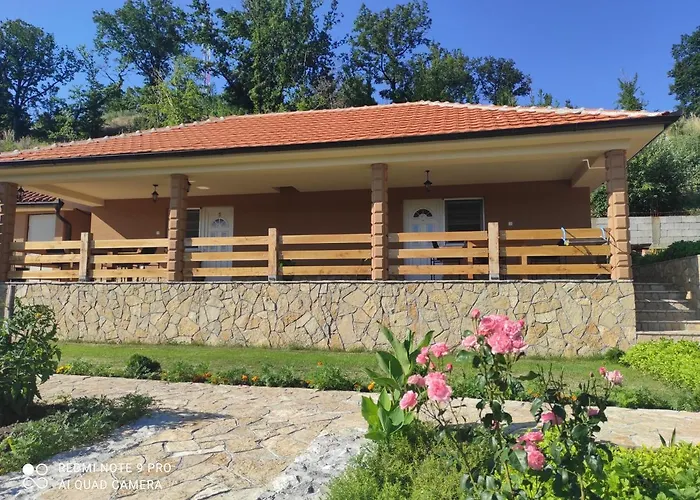 Vila Vera Borsko Jezero