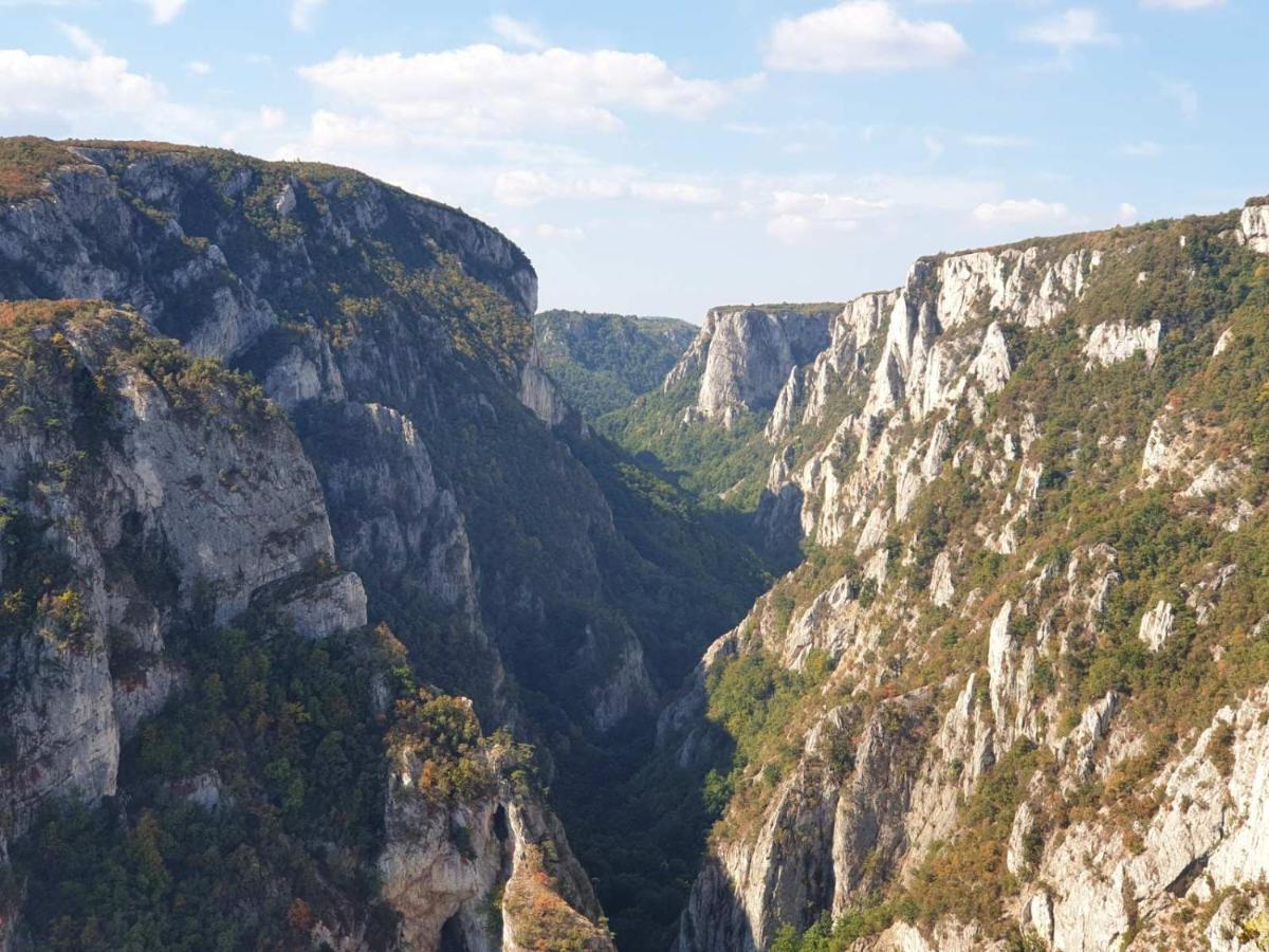 Vera Borsko Jezero Апартамент Бор